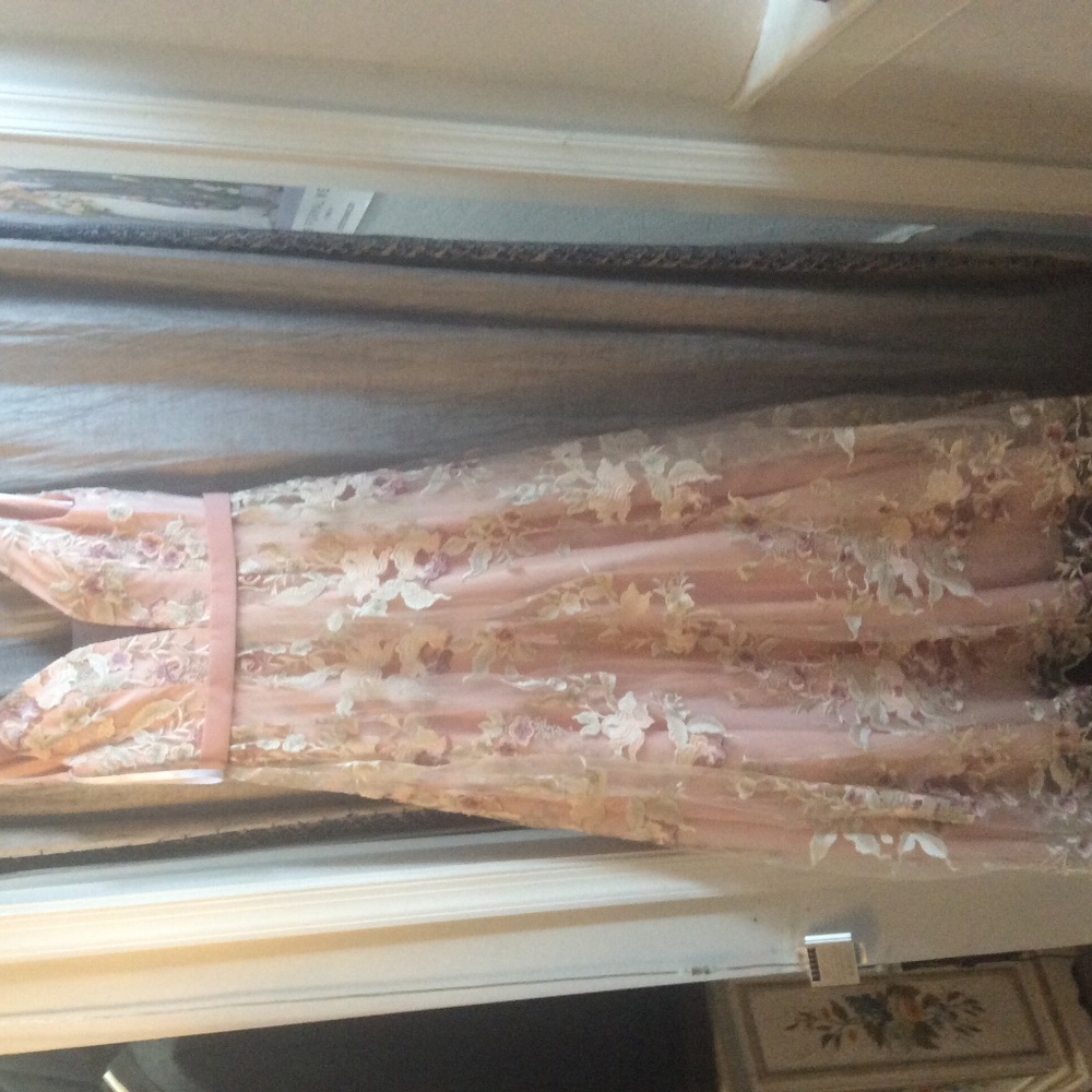 Lucci Lu ball gown